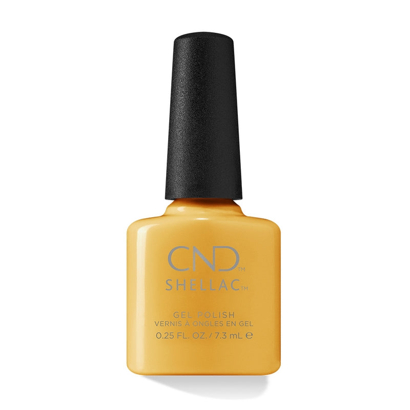 Shellac CND &