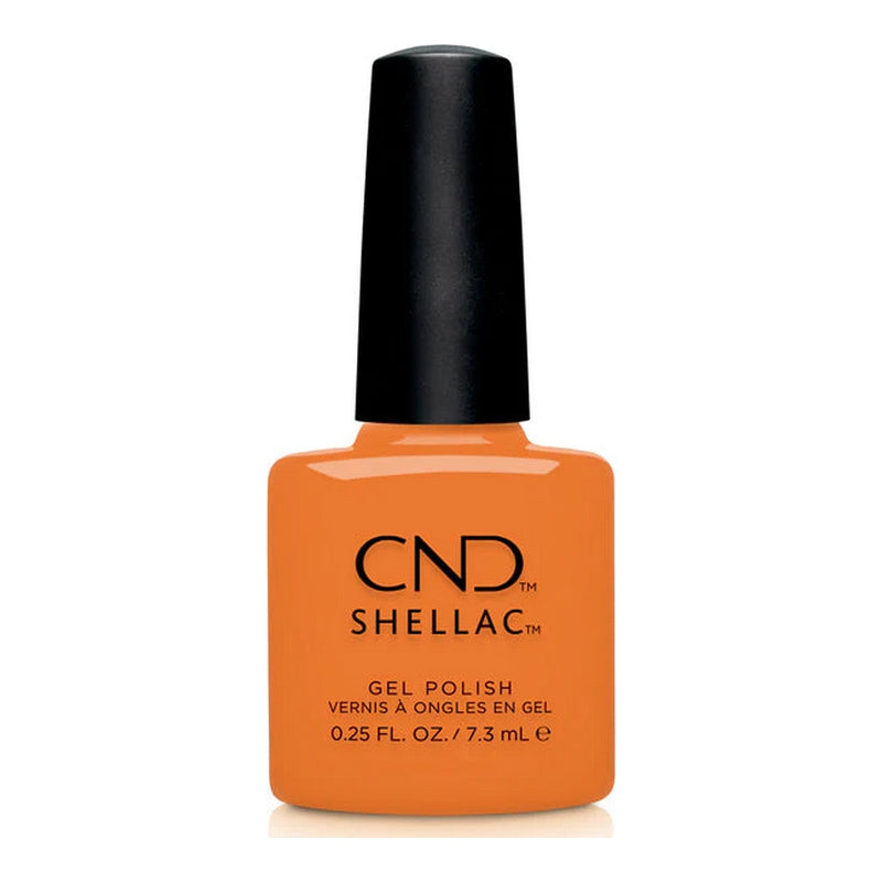 Shellac -Cnd &