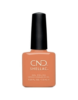 Shellac CND &